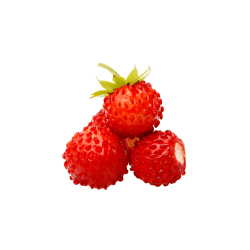 Wilde Erdbeere 10ml Aroma