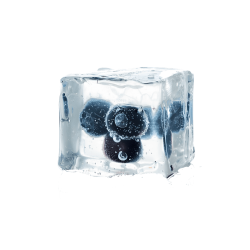 Blueberry Ice 10ml Premium...